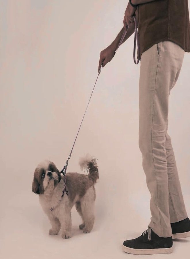 KittuPet Easy Walk No-Pull Dog Harness - The Ultimate to Help Stop Pulling Take Control & Teach Better Leash Manners Helps Prevent Pets on Walks Large, 1 Pcs (Green) - Image 5